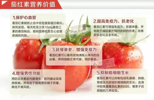 番茄红素的作用与功能 使用它的三大利益