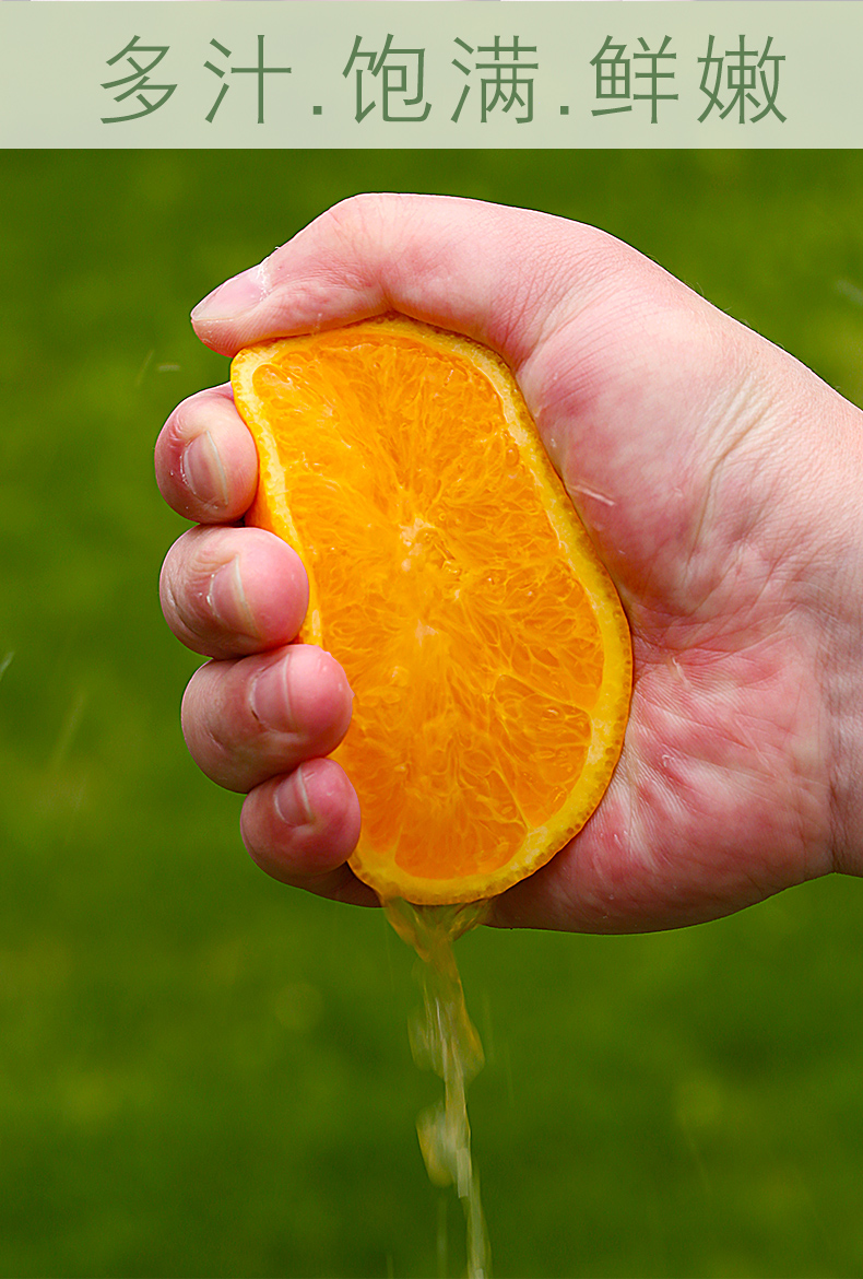 江西赣南脐橙子新鲜水果 当季果冻橙冰糖甜橙免费包邮 10-20斤/箱